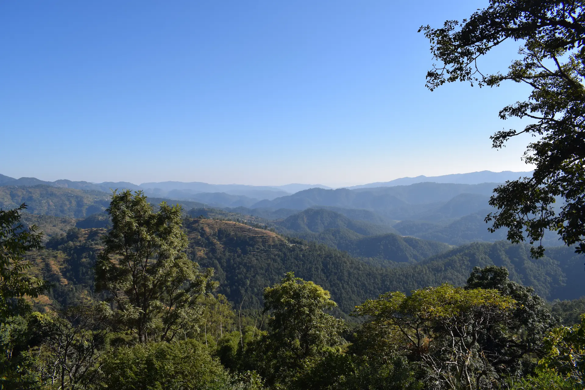 Rameshwari Homestay hero 7